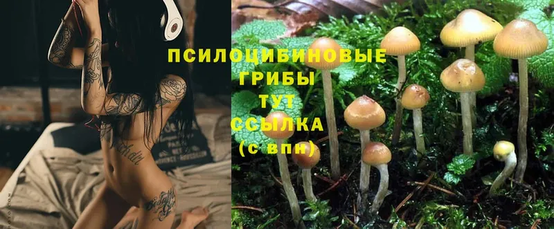 наркота  Карталы  Псилоцибиновые грибы MAGIC MUSHROOMS 